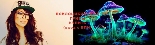 ПСИЛОЦИБИНОВЫЕ ГРИБЫ Абинск
